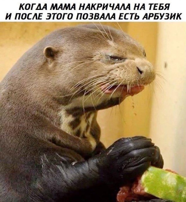 Арбузик...