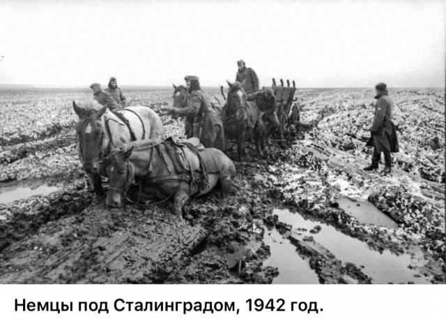 Фотографии о прошлом, открывающие историю с новой стороны 17.07.25