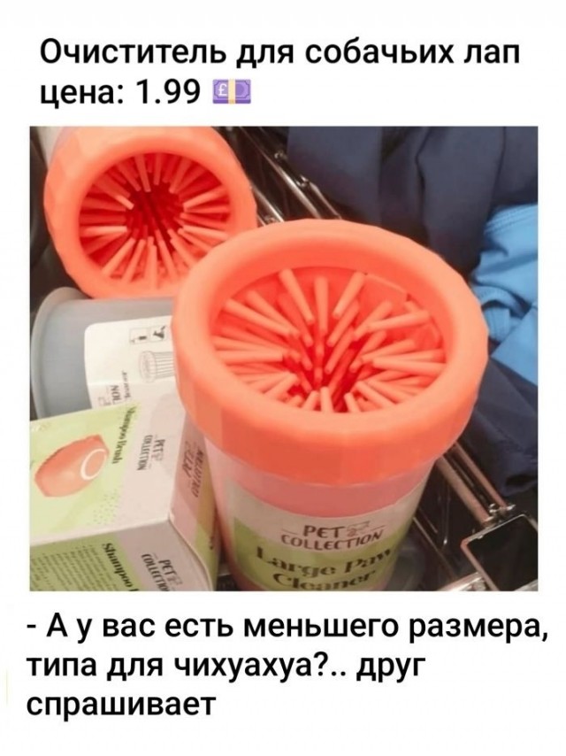 Всякая всячина