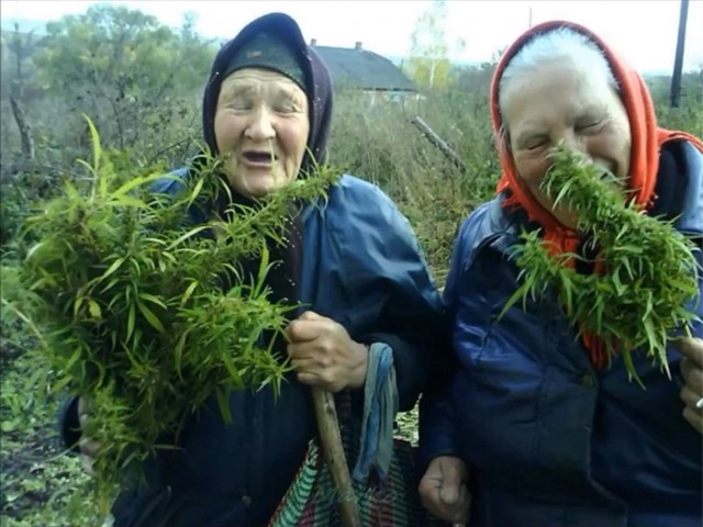 Специально для деградантов, кто ещё не спит. Смесь баянов с дичью