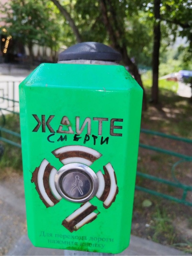 Веселое настроение в картинках (14.08.2025)