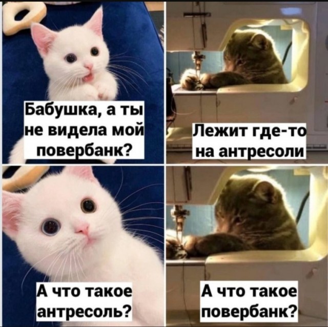 Картинки для деградации 26 (разной степени свежести)