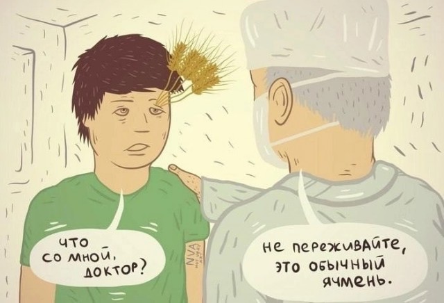 Веселые картинки в понедельник (25.08)
