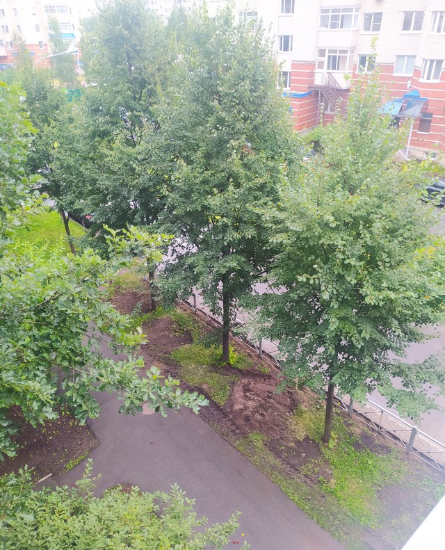 В Питере выпал снег под конец лета