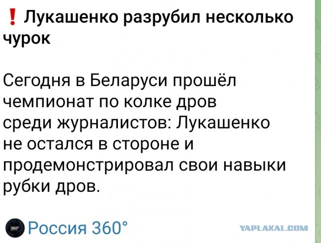 Лукашенко нарубил дров