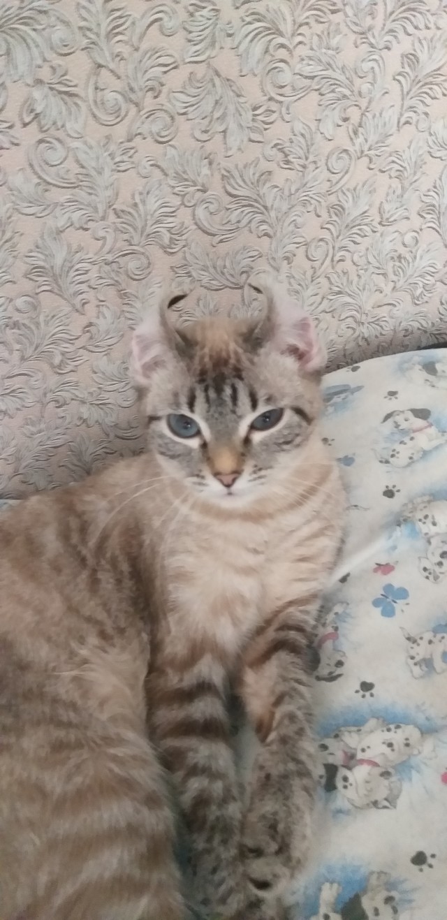 Хороший вопрос