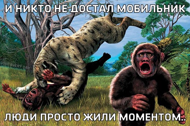 Картиночки, баянчики 11 февраля