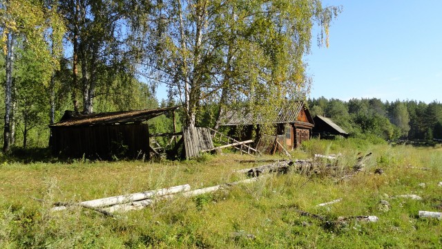 Тайга: Восемь страшных историй