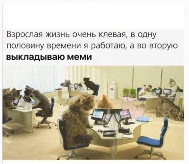 Дегрономикон 14, вторая попытка