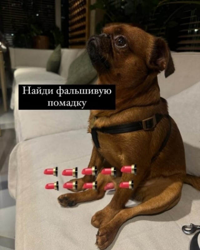 Поймать момент!