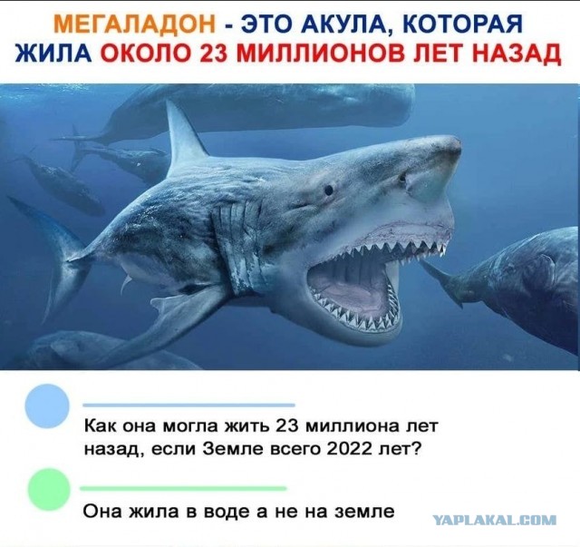 Веселые картинки в пятницу (03.07)