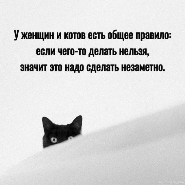Картинки для деградации 234 (разной степени свежести)