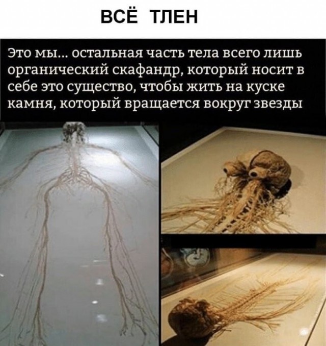 Веселые картинки в последний день лета (31.02)