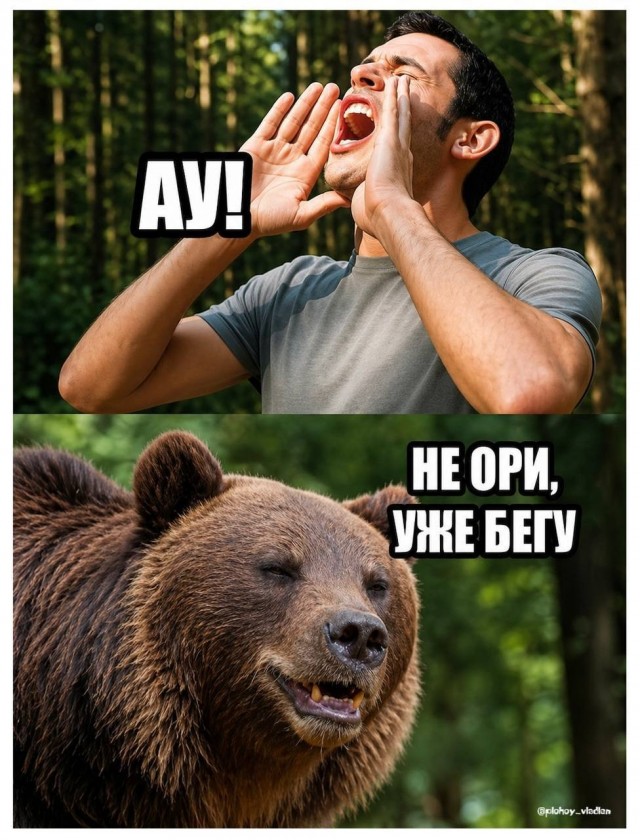 Картинки для деградации 277 (разной степени свежести)