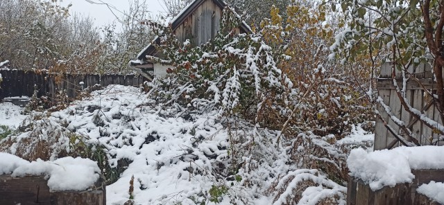 Все краски осени