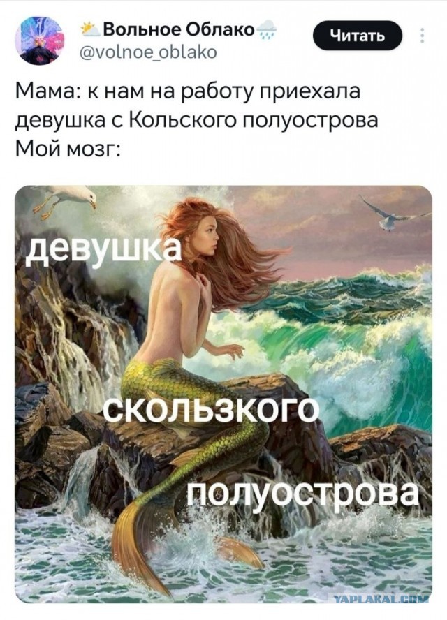 Картинки для деградации 301 (разной степени свежести)