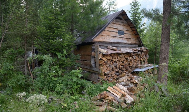 Двадцать часов на заимке Лыковых