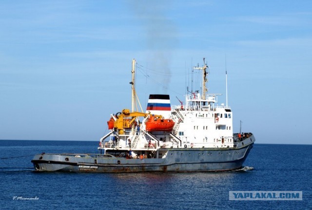 В Средиземное море отправили российский флот!