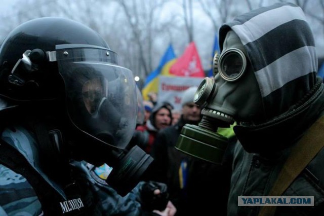 Майдан 2013, Киев
