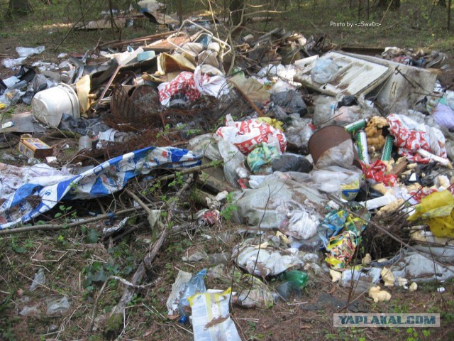 Что можно сделать из Мусора.