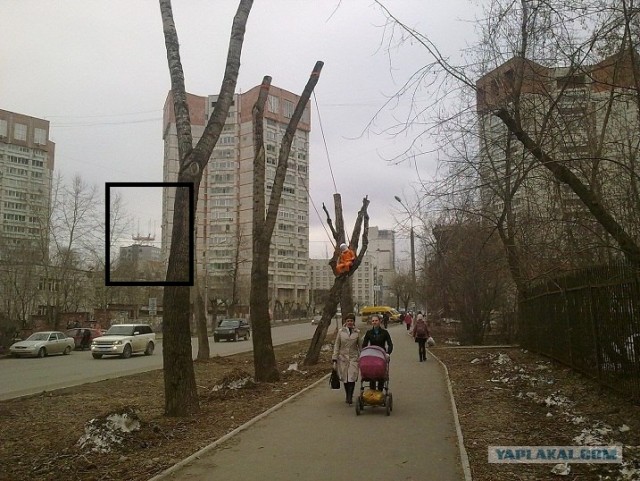 День космонавтики в Перми