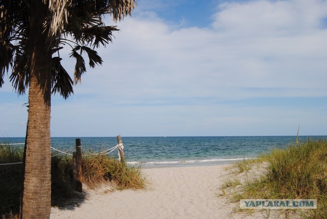 Каникулы во Флориде