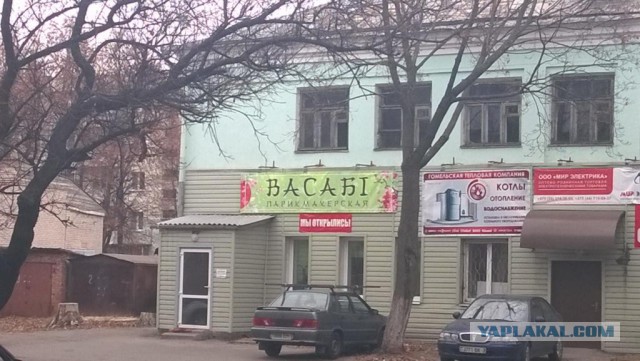 Маразмы месяца