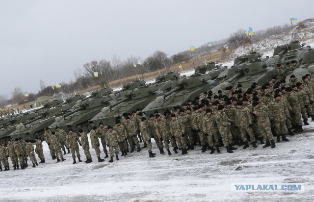 Украинская армия начала контрнаступление