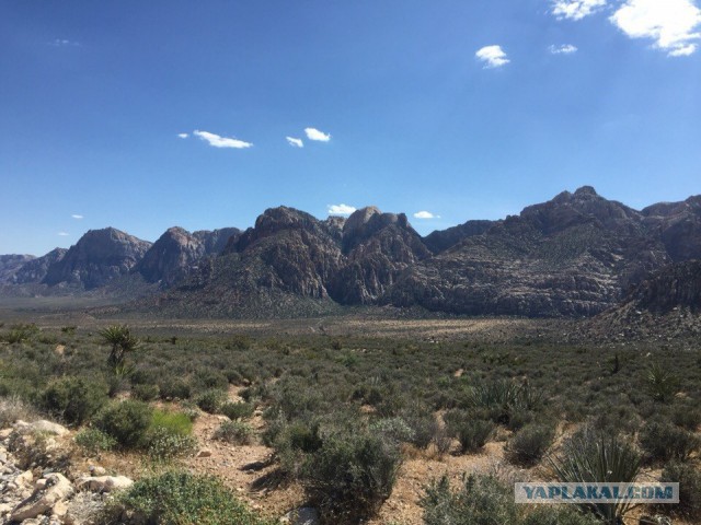 Деревенская Америка