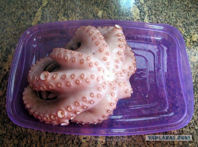 Осьминог по-галисийски. Pulpo a la Gallega.