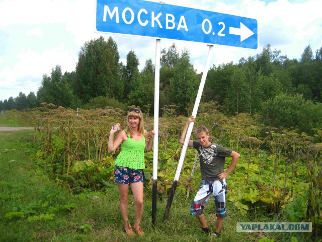 Плот.