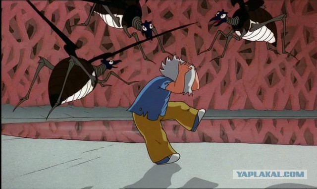 Не бойтесь шершней!