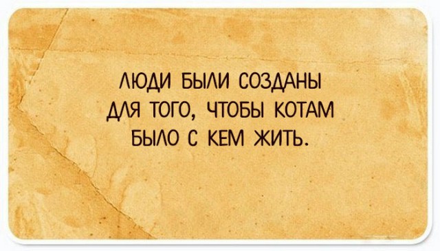 35 юмористических открыток с философскими рассуждениями о жизни