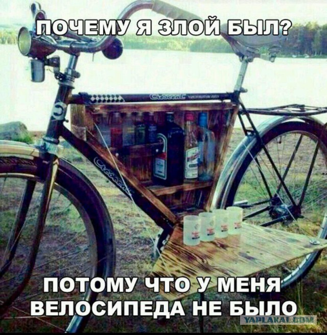 Подборка интересных и веселых картинок