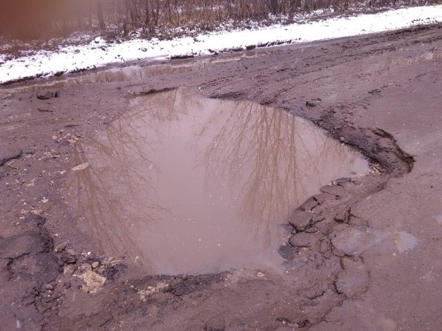 На конкурс "Убитые дороги" больше всего фото прислали из Саратовской области