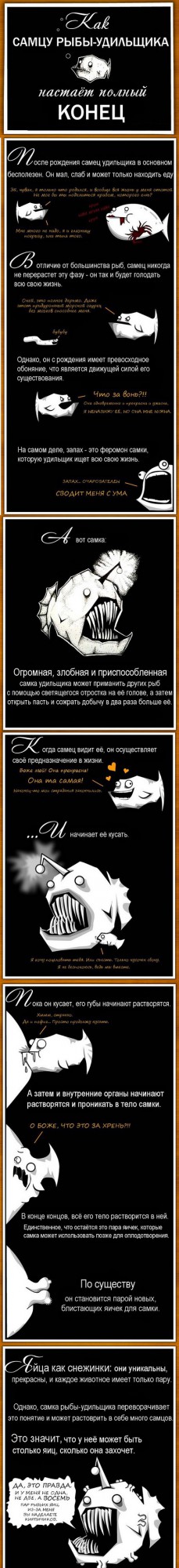 Как женится морской черт