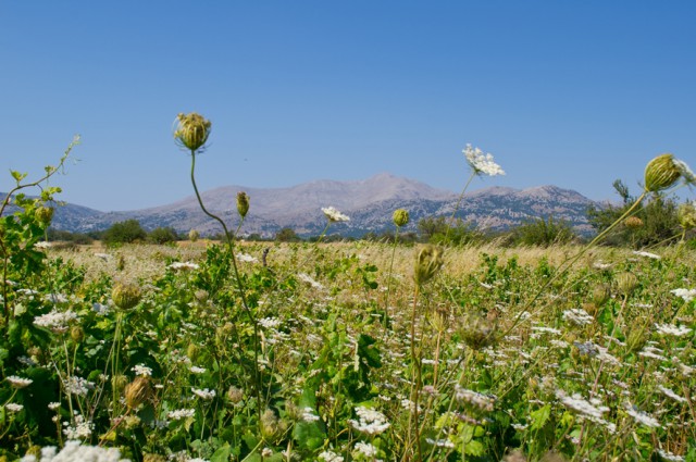 Лично мне не нужен берег турецкий
