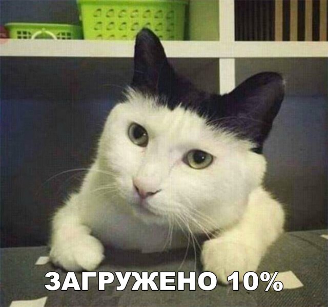 Немного милоты