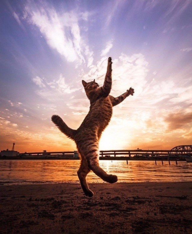 Немного милоты