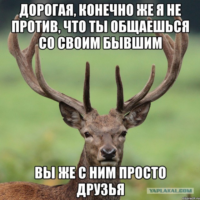 Помогите разобраться, жена предала...