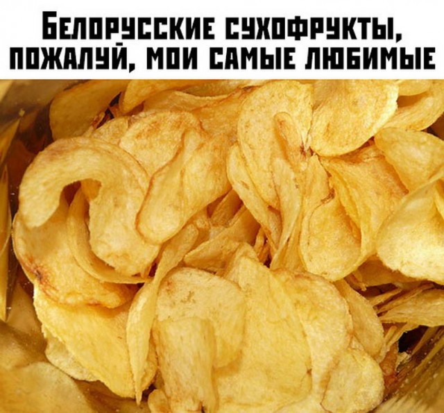 Применим физику в постели или белка и стрелка. Картинки