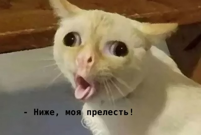 КОКОС 2.2 - Лента внеконкурса