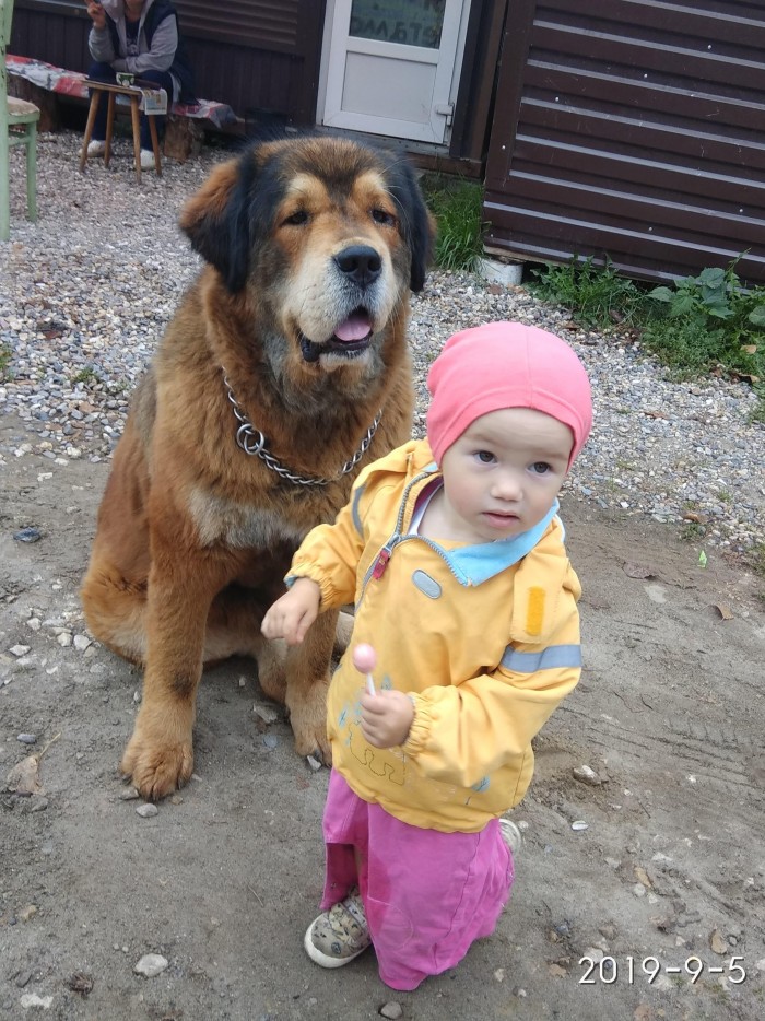 6 лет назад я приобрел себе друга.