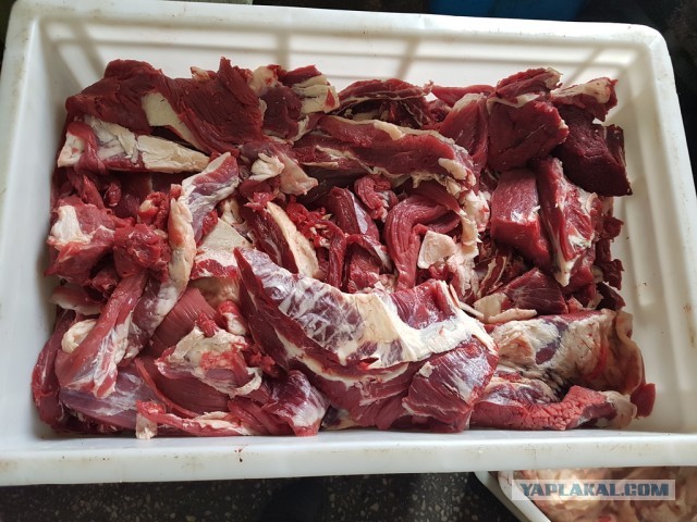 Про вкусовые рецепторы и продукты из СССР