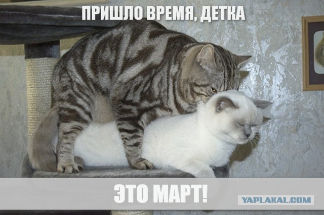 Как сохранить мужское здоровье после 50 лет