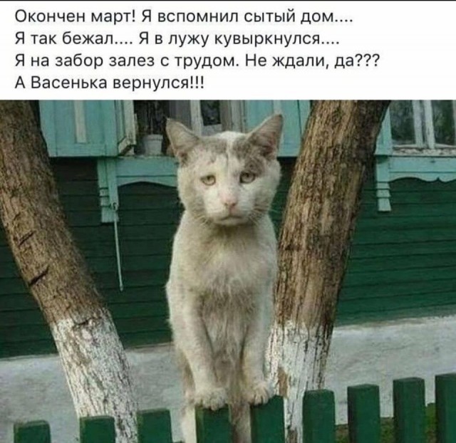 Поднакопилось чутка картинок и надписей
