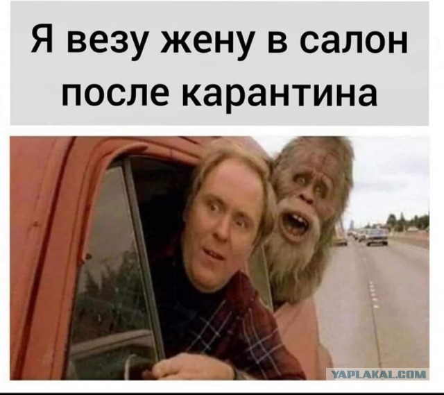 Несколько картинок
