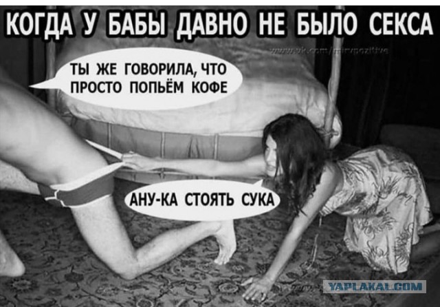 Женщины с низкой социальной ответственностью - меняются в браке или нет?