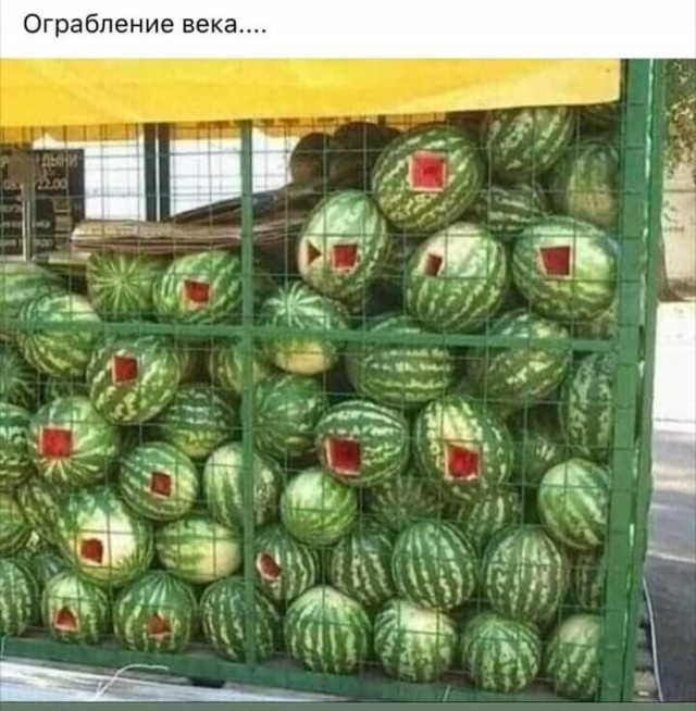 Фотки и картинки: юморные и красивые, забавные и милые 19.09.20