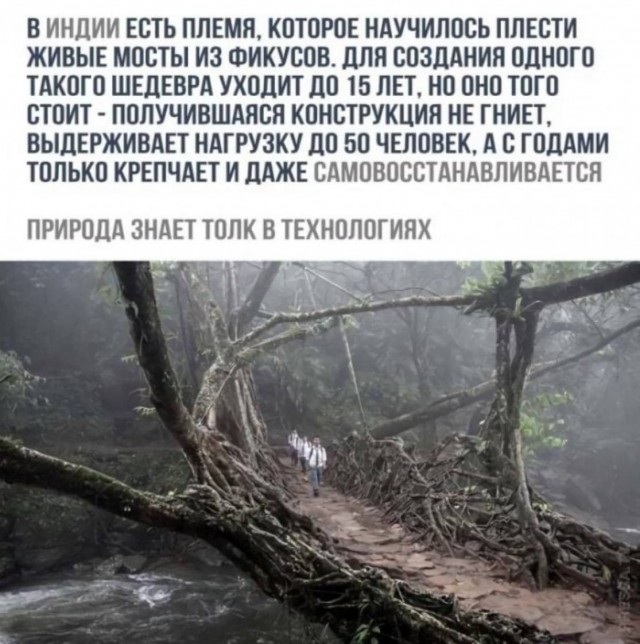 Веселые картинки отовсюду 23.02.21